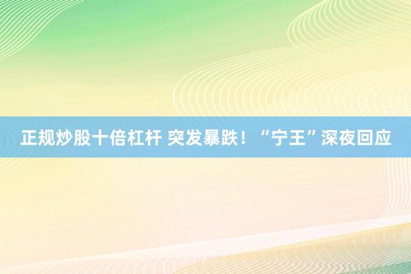 正规炒股十倍杠杆 突发暴跌！“宁王”深夜回应