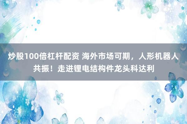 炒股100倍杠杆配资 海外市场可期，人形机器人共振！走进锂电结构件龙头科达利