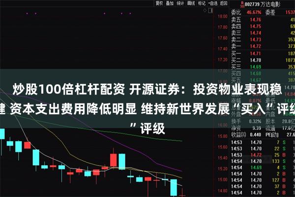 炒股100倍杠杆配资 开源证券：投资物业表现稳健 资本支出费用降低明显 维持新世界发展“买入”评级